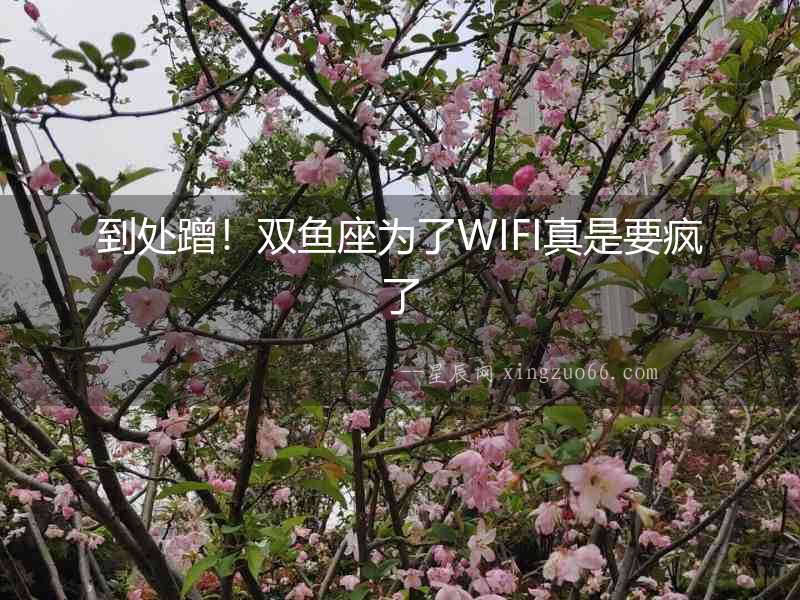 到處蹭！雙魚座為了WIFI真是要瘋了