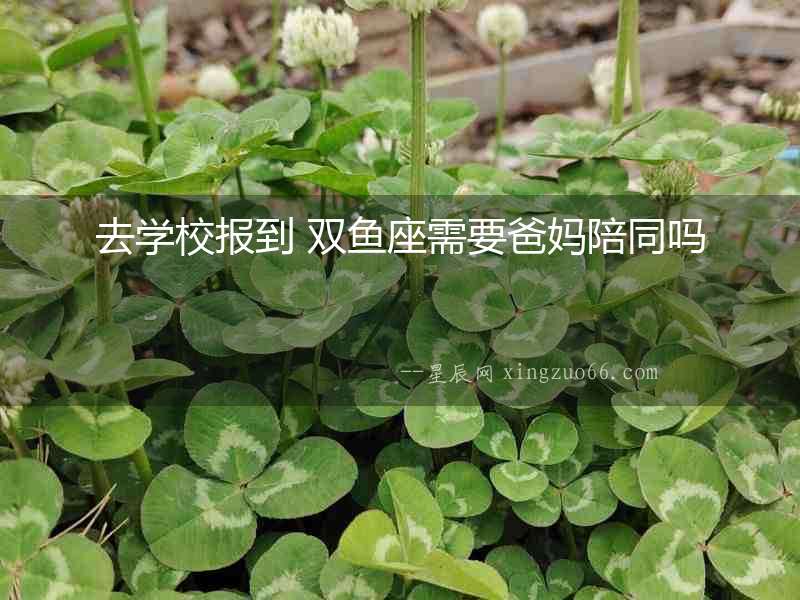 去學(xué)校報(bào)到 雙魚座需要爸媽陪同嗎