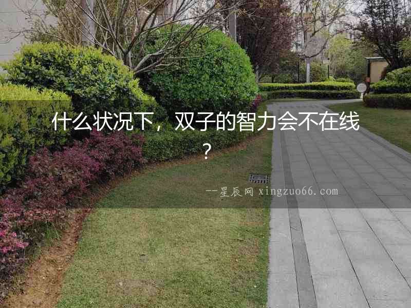 什么狀況下，雙子的智力會(huì)不在線？