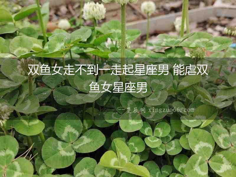 雙魚女走不到一走起星座男 能虐雙魚女星座男