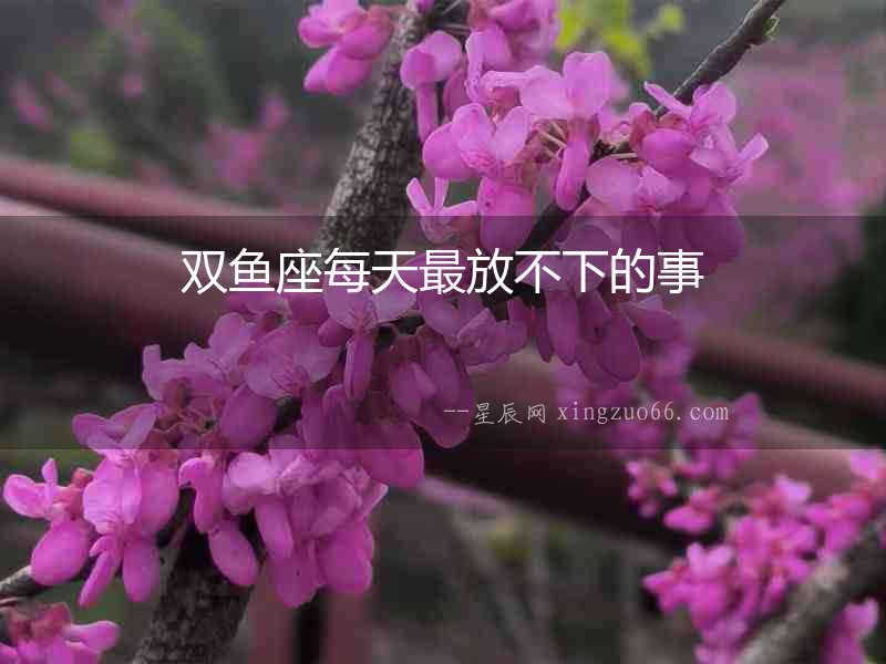 雙魚座每天最放不下的事