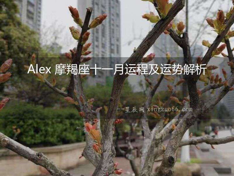 Alex 摩羯座十一月運(yùn)程及運(yùn)勢(shì)解析