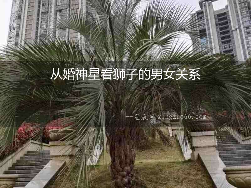 從婚神星看獅子的男女關(guān)系