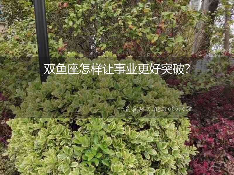 雙魚座怎樣讓事業(yè)更好突破？