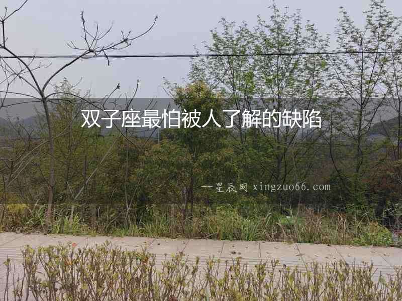 雙子座最怕被人了解的缺陷