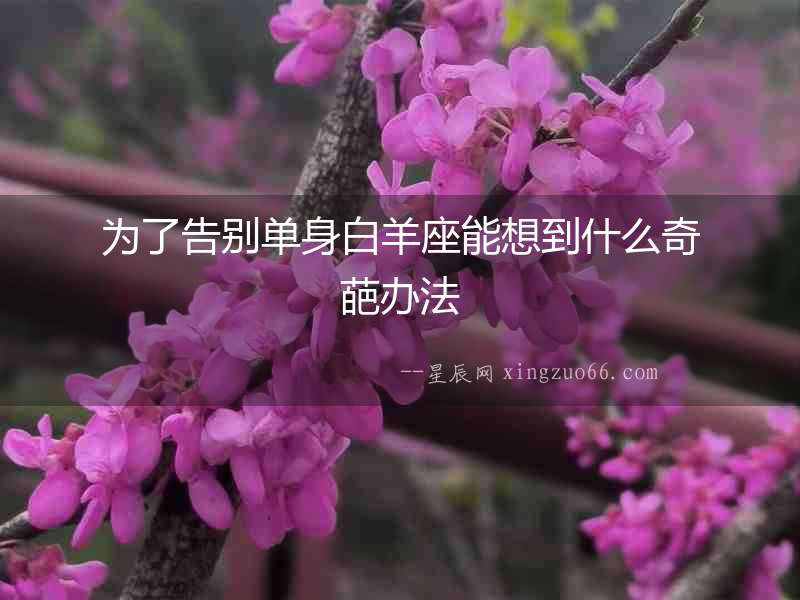 為了告別單身白羊座能想到什么奇葩辦法