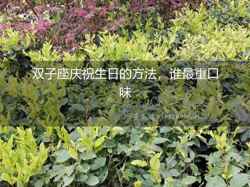 雙子座慶祝生日的方法，誰最重口味