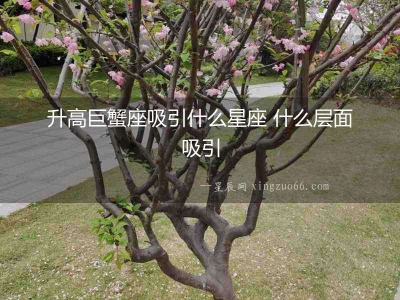 升高巨蟹座吸引什么星座 什么層面吸引
