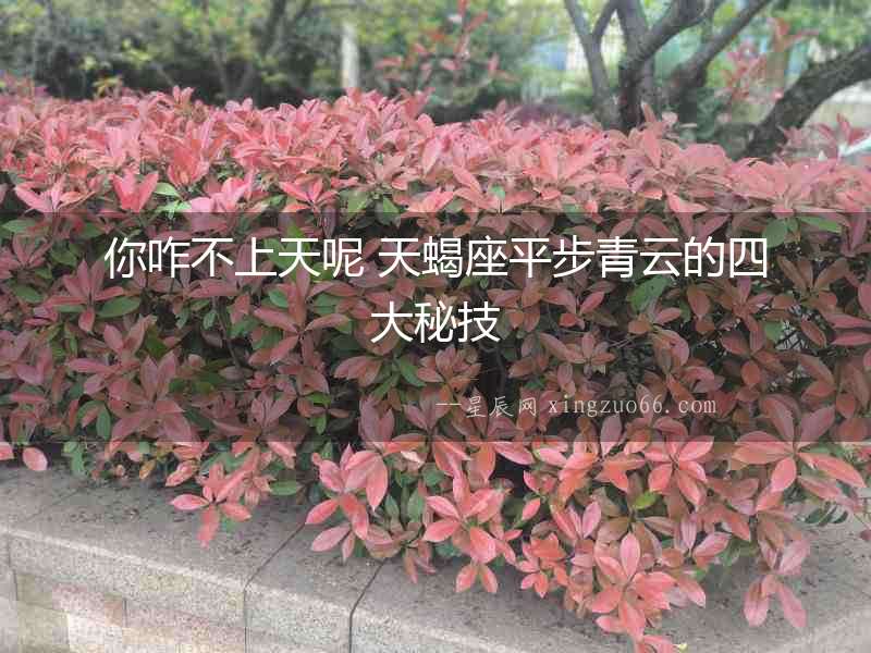 你咋不上天呢 天蝎座平步青云的四大秘技