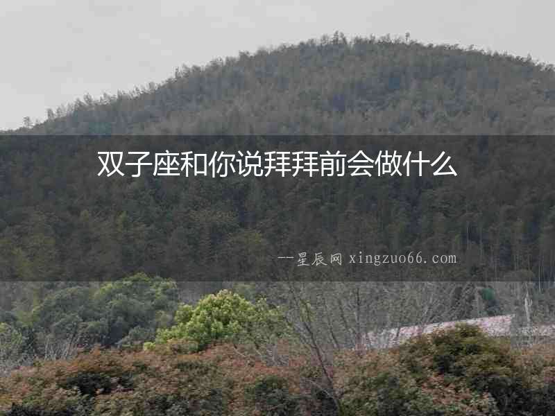 雙子座和你說拜拜前會做什么
