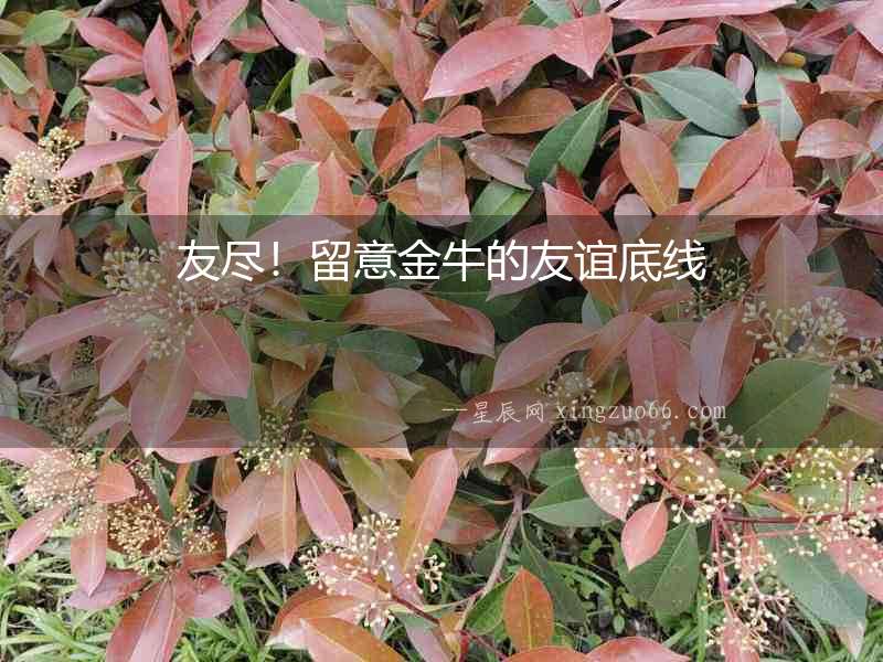 友盡！留意金牛的友誼底線