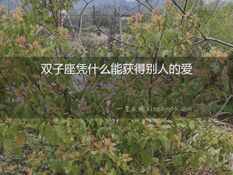 雙子座憑什么能獲得別人的愛