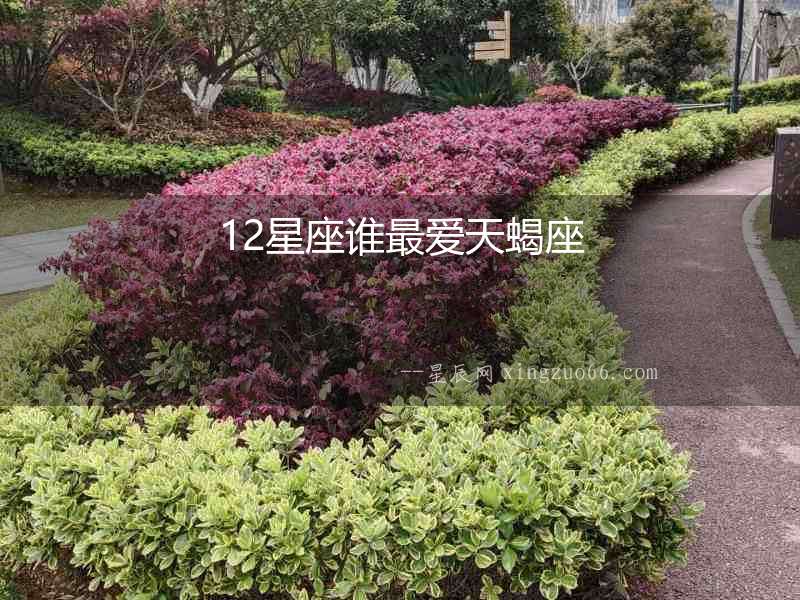 12星座誰最愛天蝎座