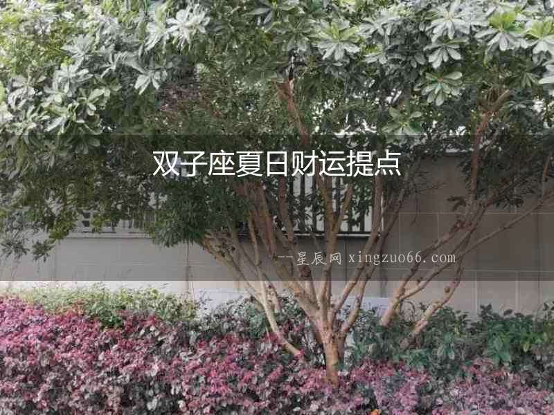 雙子座夏日財運提點