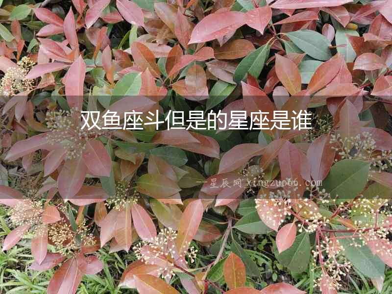 雙魚座斗但是的星座是誰