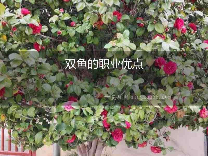 雙魚的職業優點