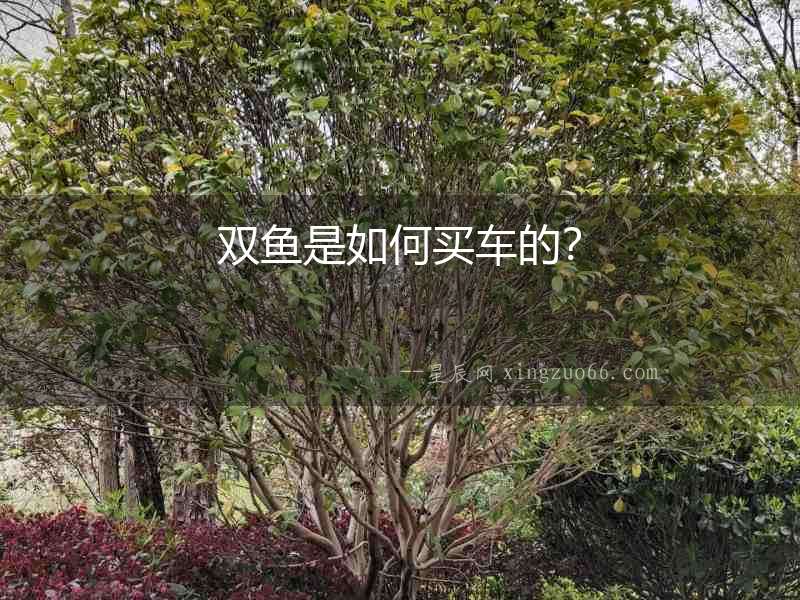 雙魚是如何買車的？