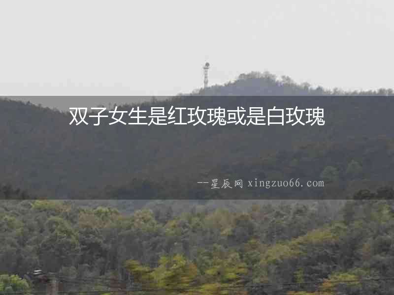 雙子女生是紅玫瑰或是白玫瑰