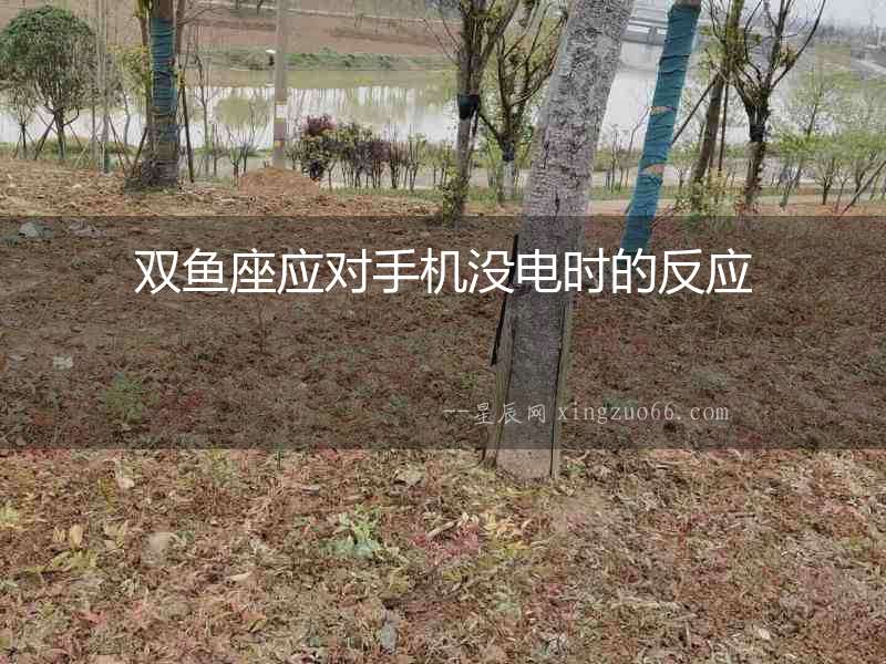雙魚(yú)座應(yīng)對(duì)手機(jī)沒(méi)電時(shí)的反應(yīng)