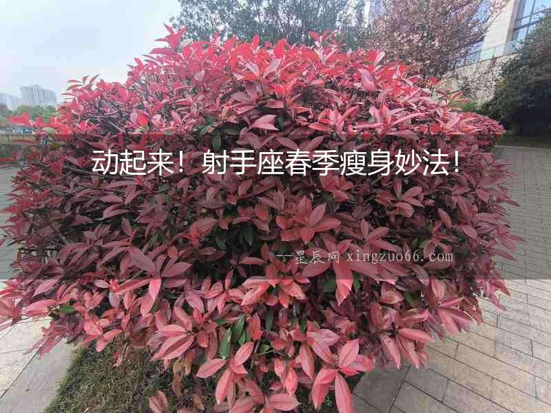 動起來！射手座春季瘦身妙法！