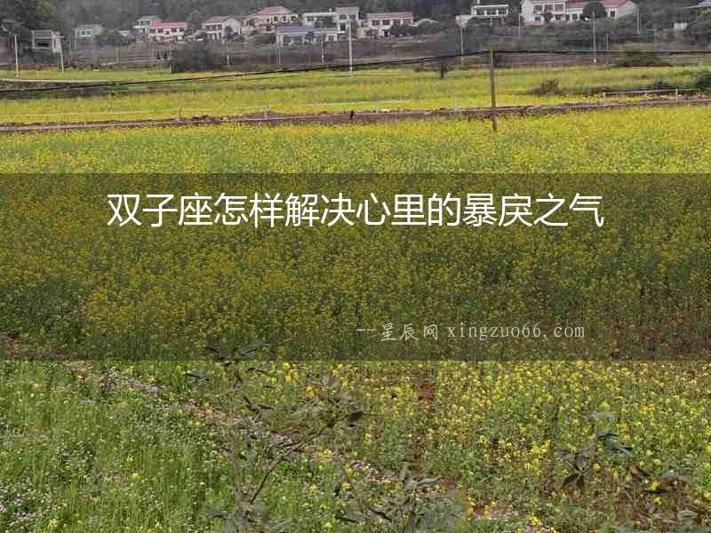 雙子座怎樣解決心里的暴戾之氣