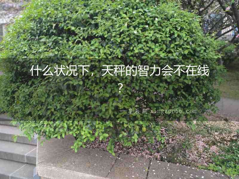 什么狀況下，天秤的智力會(huì)不在線？