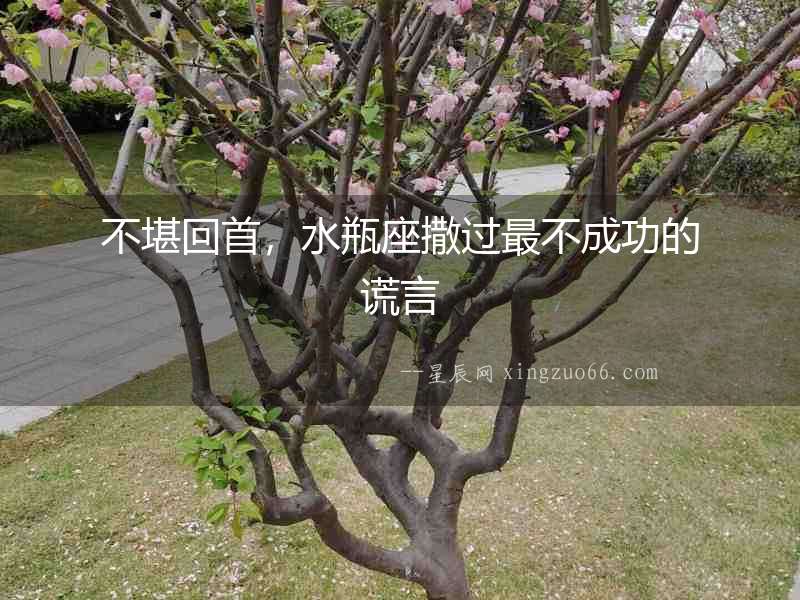 不堪回首，水瓶座撒過最不成功的謊言