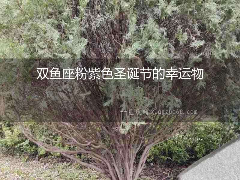 雙魚座粉紫色圣誕節(jié)的幸運物