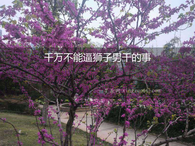 千萬不能逼獅子男干的事