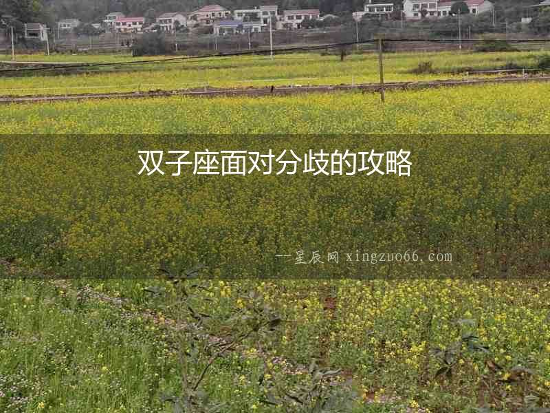 雙子座面對分歧的攻略