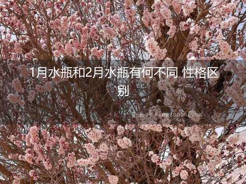 1月水瓶和2月水瓶有何不同 性格區(qū)別