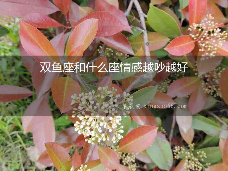 雙魚座和什么座情感越吵越好