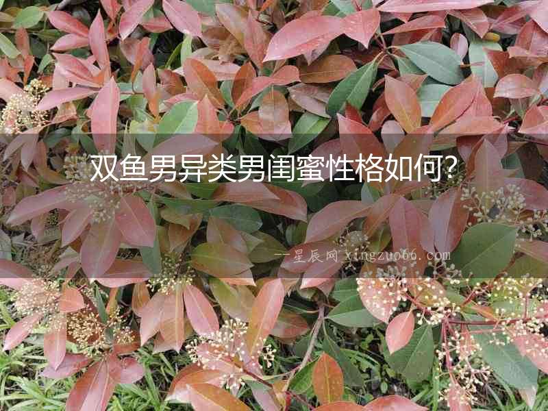 雙魚男異類男閨蜜性格如何？