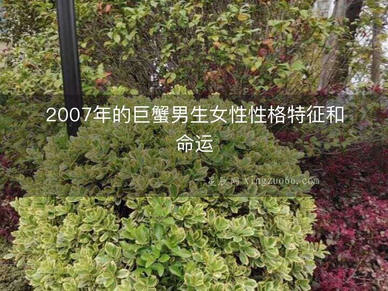 2007年的巨蟹男生女性性格特征和命運