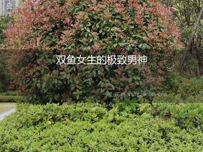 雙魚女生的極致男神