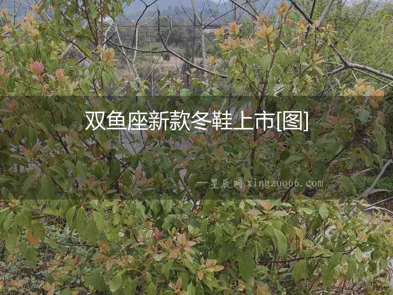 雙魚座新款冬鞋上市[圖]