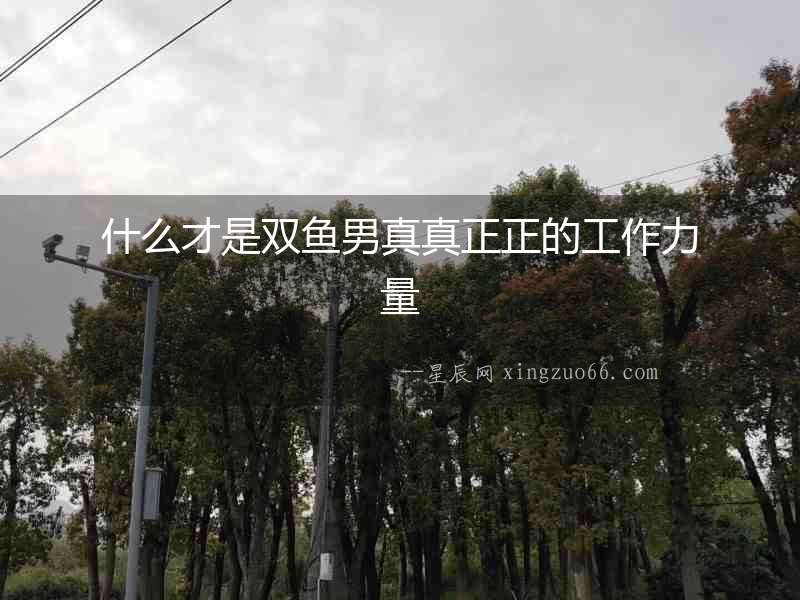 什么才是雙魚男真真正正的工作力量