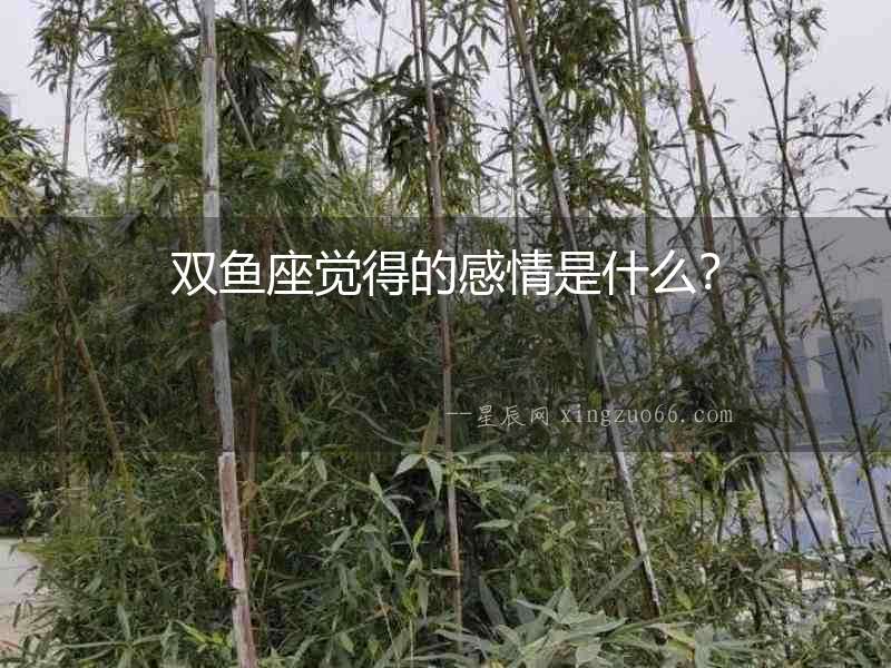 雙魚座覺得的感情是什么？