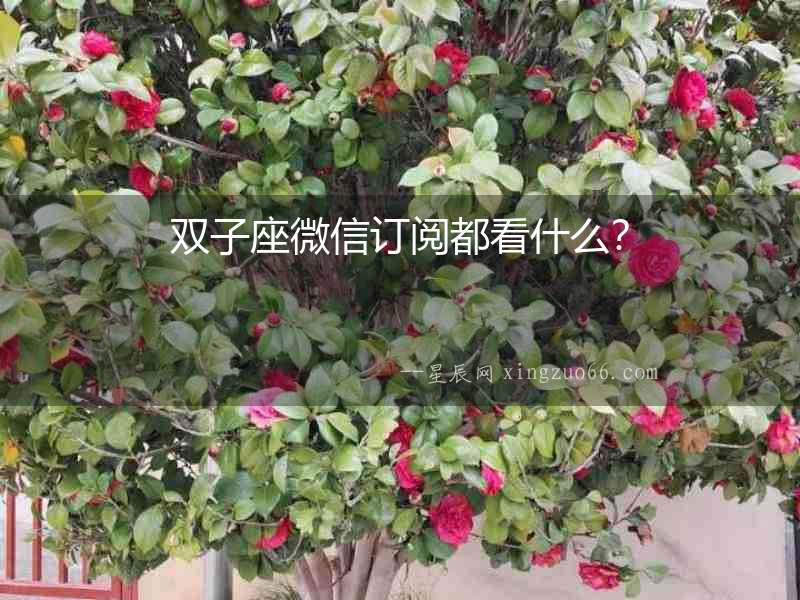 雙子座微信訂閱都看什么？
