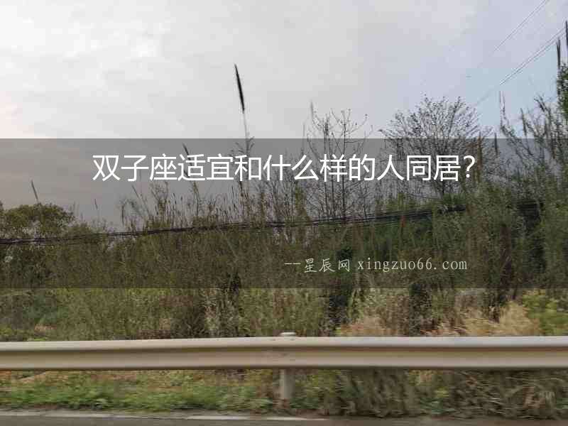 雙子座適宜和什么樣的人同居？