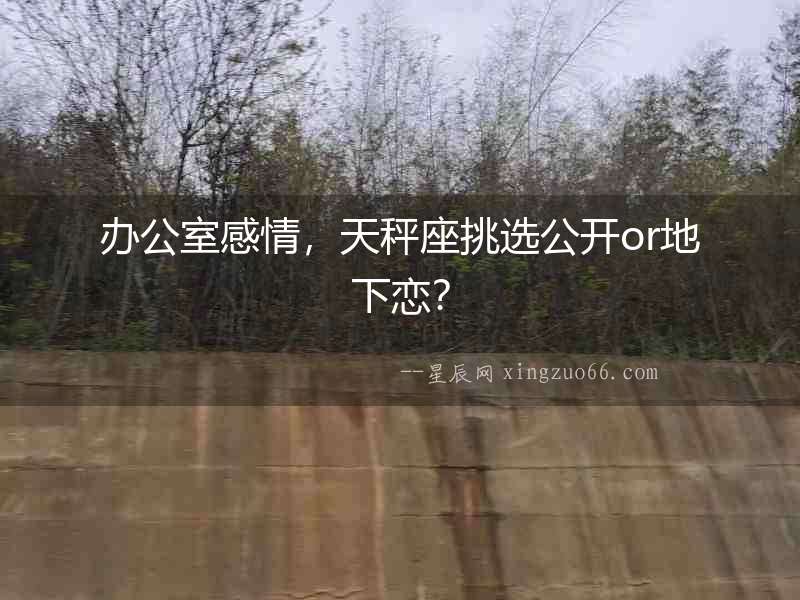 辦公室感情，天秤座挑選公開or地下戀？