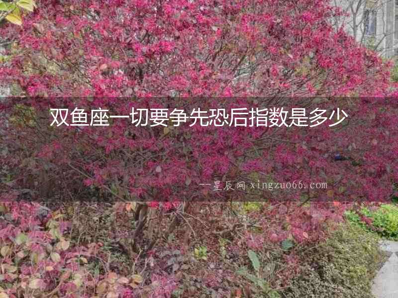 雙魚座一切要爭先恐后指數是多少