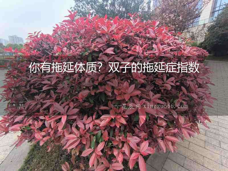 你有拖延體質？雙子的拖延癥指數