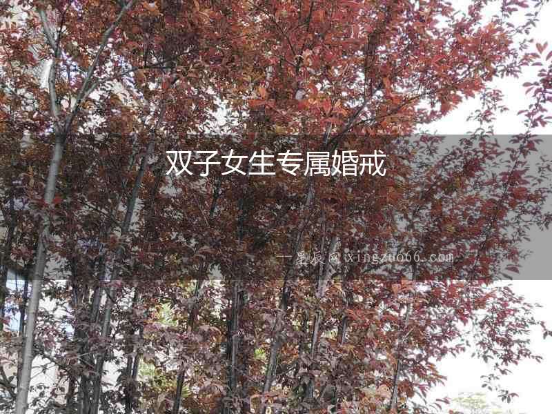 雙子女生專屬婚戒