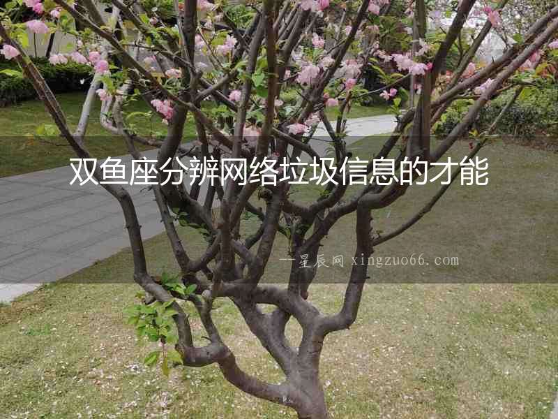 雙魚(yú)座分辨網(wǎng)絡(luò)垃圾信息的才能