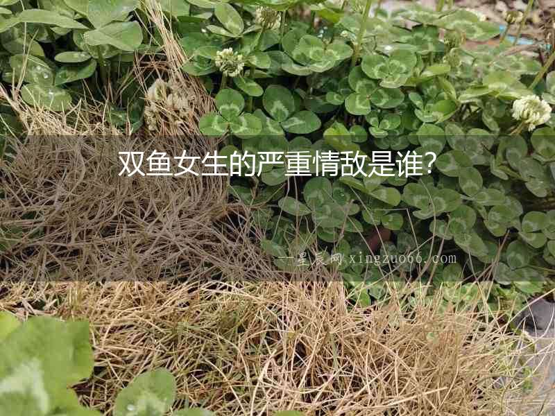 雙魚女生的嚴重情敵是誰？