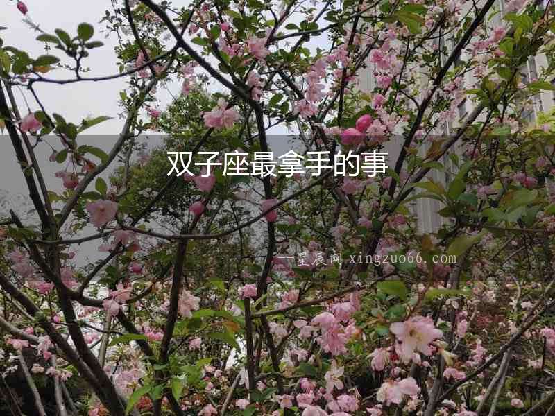 雙子座最拿手的事