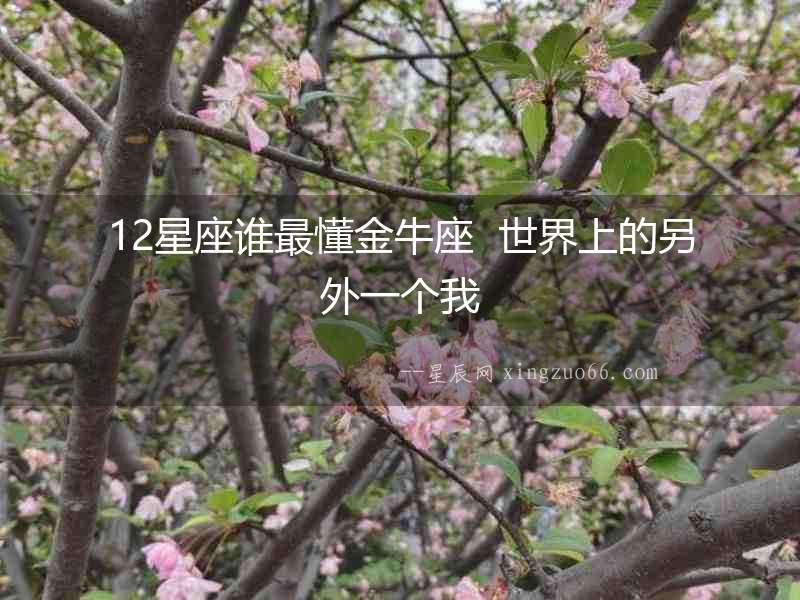 12星座誰最懂金牛座  世界上的另外一個我