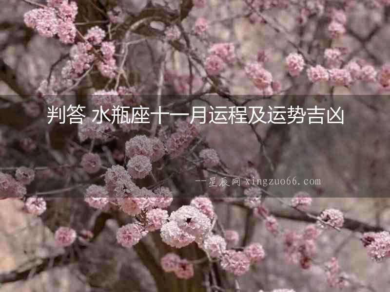 判答 水瓶座十一月運程及運勢吉兇