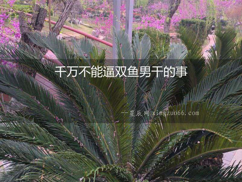 千萬(wàn)不能逼雙魚男干的事